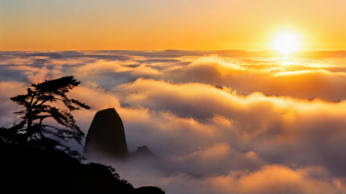 Sea of clouds at sunrise